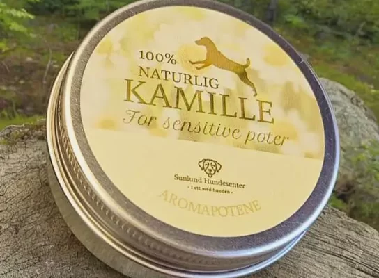 1000008388